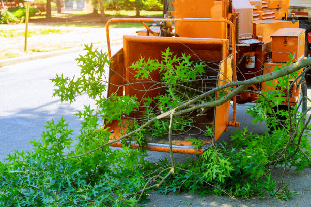 Best Lawn Watering Services  in Newellton, LA