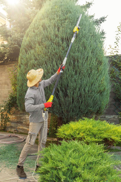 Best Tree and Shrub Care  in Newellton, LA